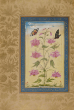 Thumbnail for File:Exotic flowers with butterflies. Mughal, 1630-33 (British Library Add.Or.3129, f.64r).png