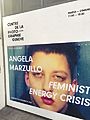 Exposition Feminist Energy Crisis d'Angela Marzullo.jpg