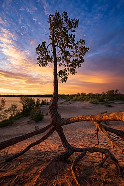 Sandbanks Provincial Park. Photograph: Jasonpettit