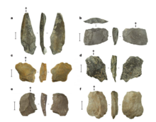 Ferramentas utilizadas pelo Homo floresiensis.