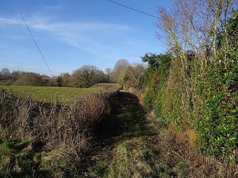 File:Field access, The Forge - geograph.org.uk - 6076316.jpg