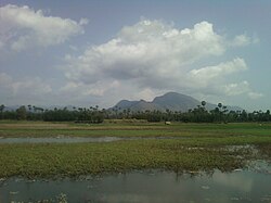 Ladang dekat Devarapalli dari Visakha kabupaten