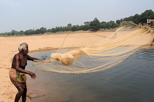 மீன் பிடித்தல் - Wikiwand