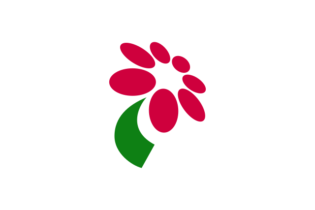 Flag of Minamibōsō