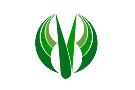 Flag of Mizuho Gifu.JPG