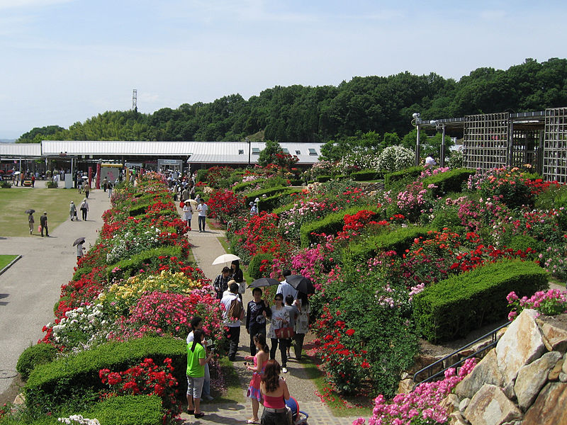 File:Flower Festival Commemorative Park02.jpg