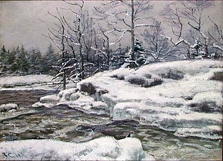 Winter, Mesna