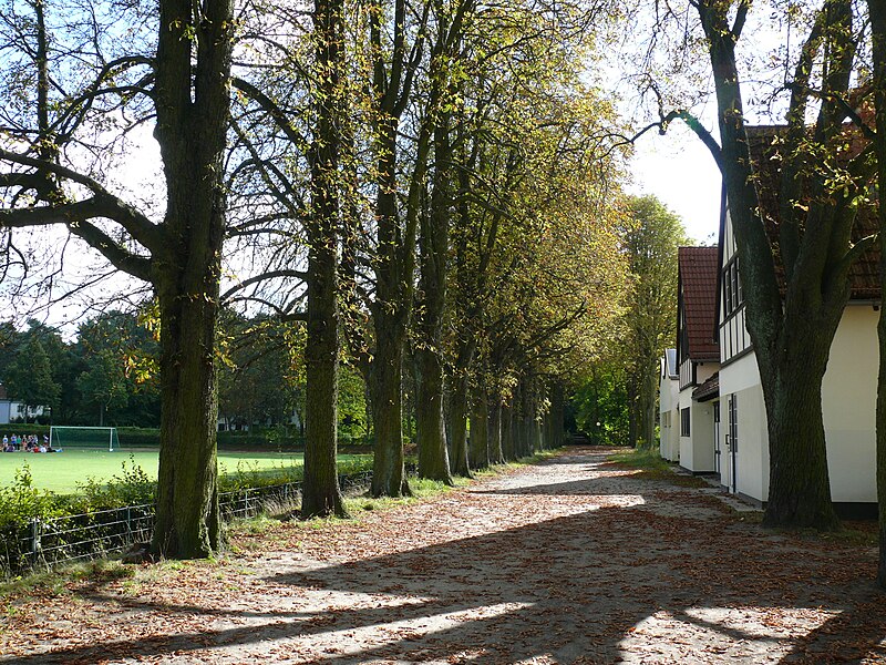 File:Frohnau Schönfließer Straße Sportanlagen-004.JPG