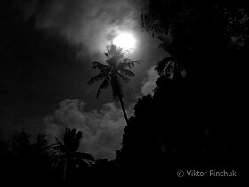 Full moon on Labuan Island (Malaysia) Photo taken on a Papuan expedition