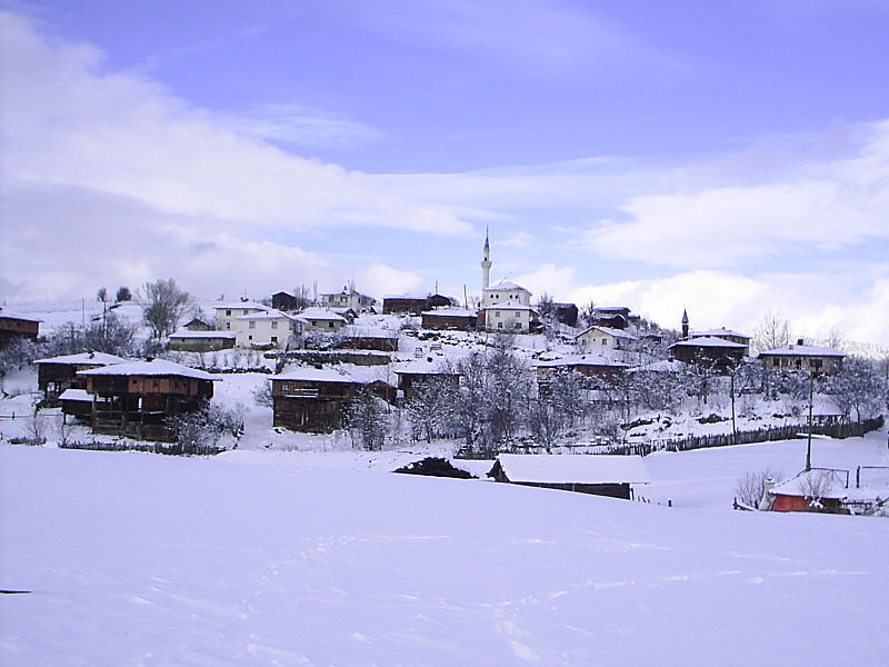 File:General view of Çambaşı, Taşköprü.jpg