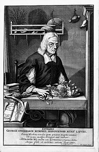 people_wikipedia_image_from Georg Eberhard Rumpf