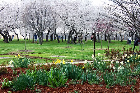 German American Friendship Garden