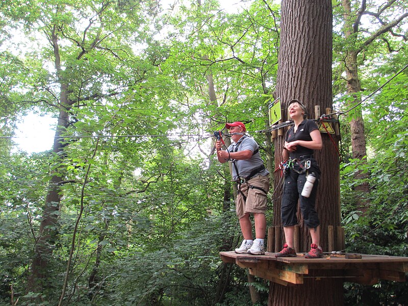 File:Go Ape! (9464346994).jpg