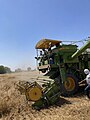 Golden fields, bustling harvest 03