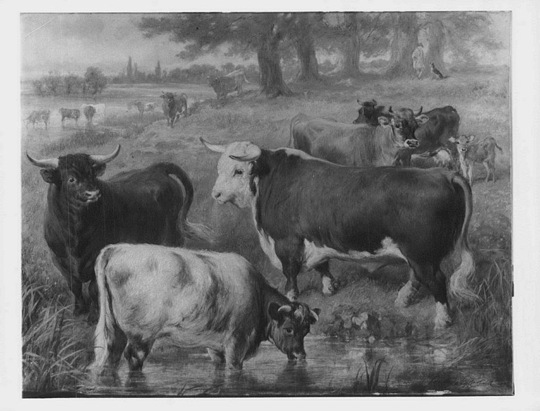 File:Gourlay Steell (1819-94) - Favourite Cattle at Windsor - RCIN 404096 - Royal Collection.jpg