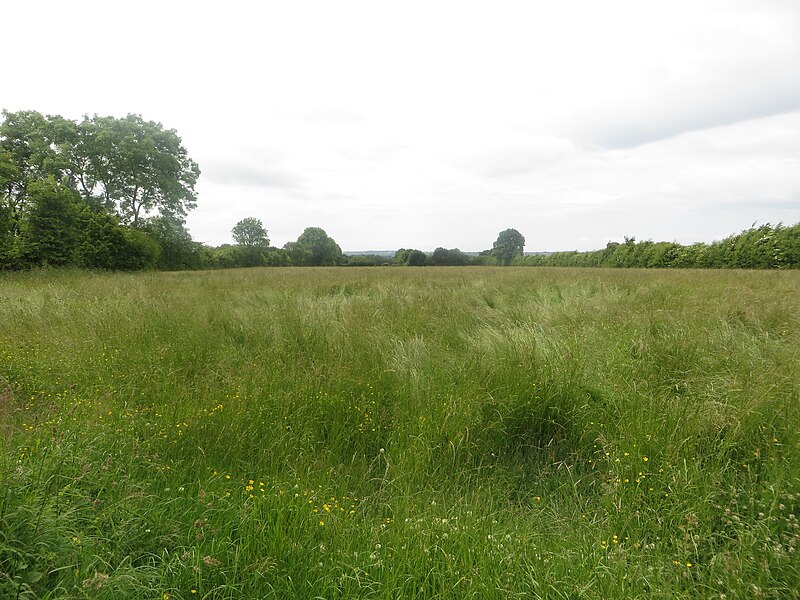 File:Grassland south of Gilcrux - geograph.org.uk - 5005462.jpg