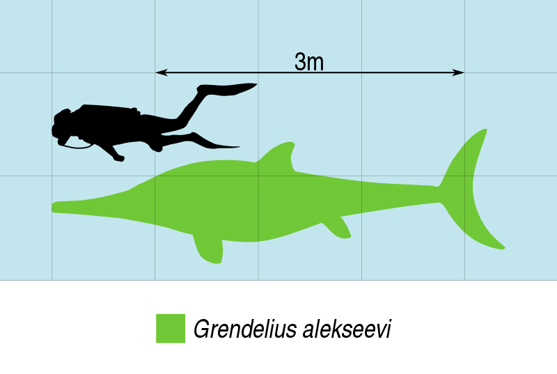 File:Grendelius Scale.svg