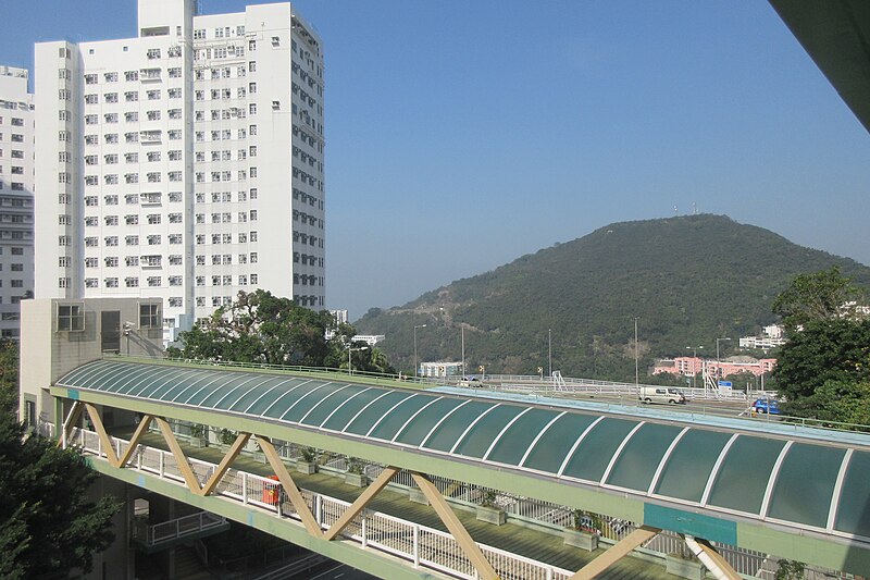 File:HK 香港南區 Southern District 薄扶林道 Pokfulam Road 瑪麗醫院 Queen Mary Hospital footbridge escalators January 2019 IX2 07.jpg