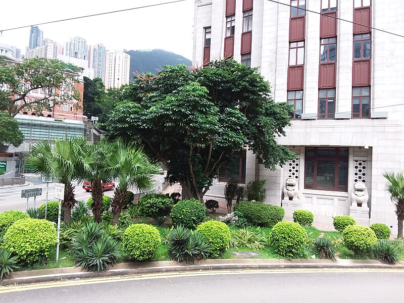 File:HK tram tour view July 2019 IX2 35.jpg