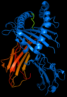 HLA-B5