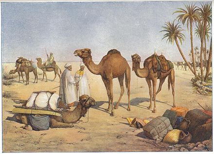 Kamel datiert Anzeige