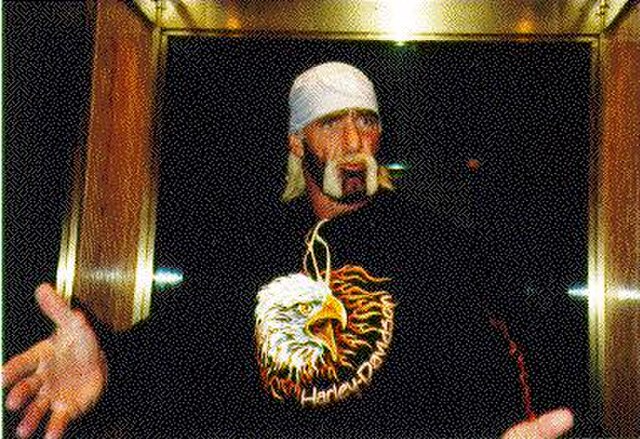 Hulk Hogan during his time in the nWo