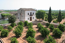 Huerto valenciano