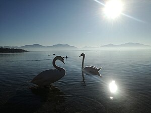 Chiemsee: Etymologie, Entwicklung, See und Umgebung