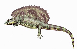 Ianthasaurus