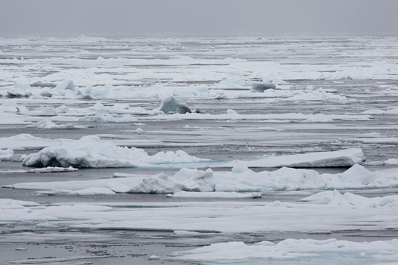 File:Ice Cruising in the Arctic (19661991684).jpg