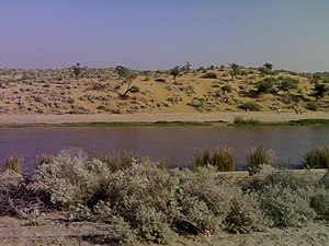 Thar Desert