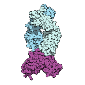 Isatuximab 4CMH.png