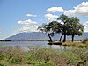 Island in the Zambezi River at Mana Pools National Park