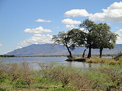 Ландшафт у реки Замбези в НП Мана-Пулс