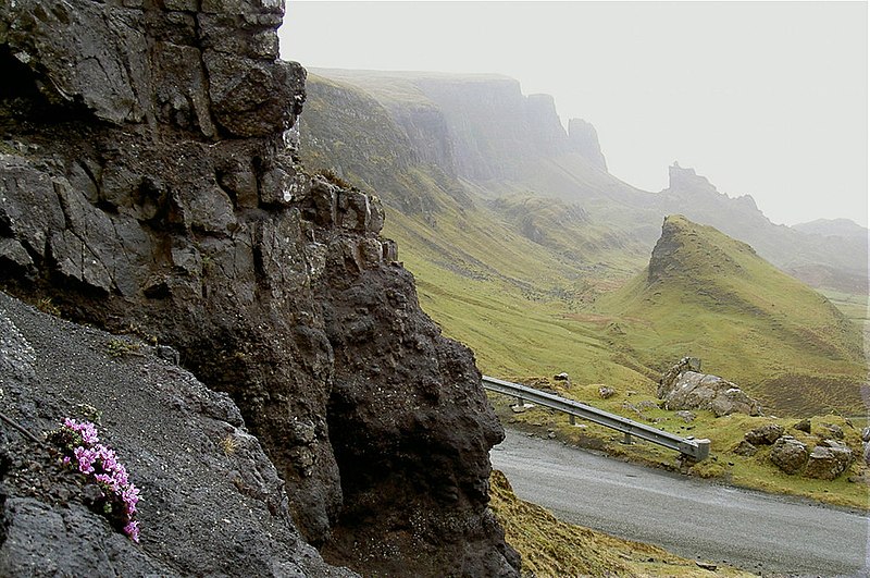 File:It's not all black^ A splash of spring colour - geograph.org.uk - 1805231.jpg