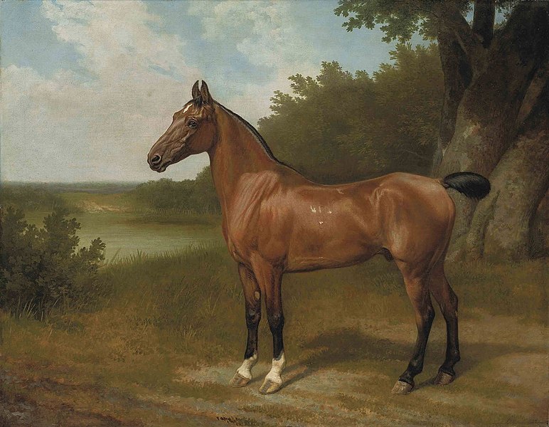 File:Jacques-Laurent Agasse - Lord Bingley's hunter in a wooded river landscape.jpg