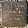 Julius Adam - Kurzer Kamp 6 (Hamburg-Fuhlsbüttel) .Stolperstein.nnw.jpg