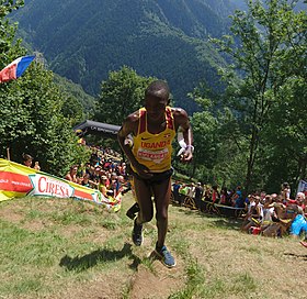 A cikk szemléltető képe Victor Kiplangat