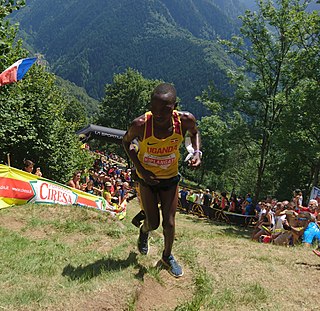 <span class="mw-page-title-main">Victor Kiplangat</span> Ugandan mountain runner