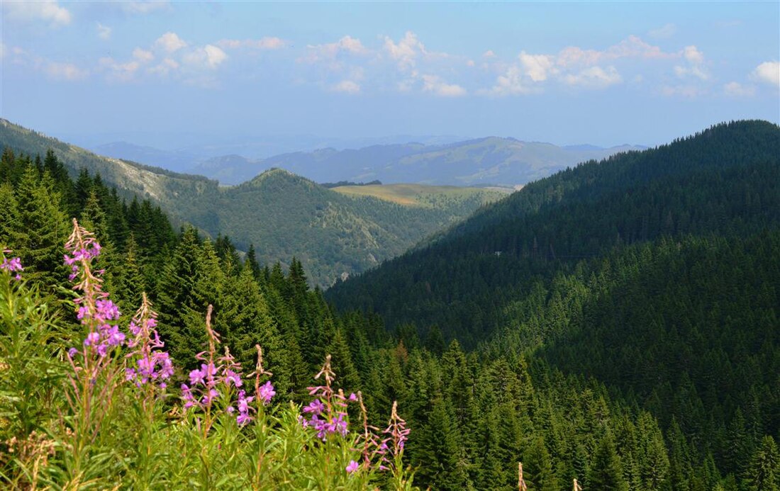 Národní park Kopaonik