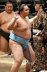 琴勝峰吉成のサムネイル