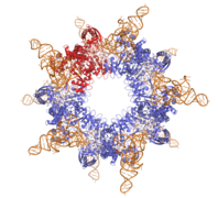 l-seryl-tRNA(Sec) selenium transferase PDB: 3W1K​