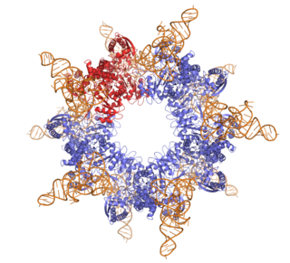 <span class="mw-page-title-main">L-seryl-tRNASec selenium transferase</span>