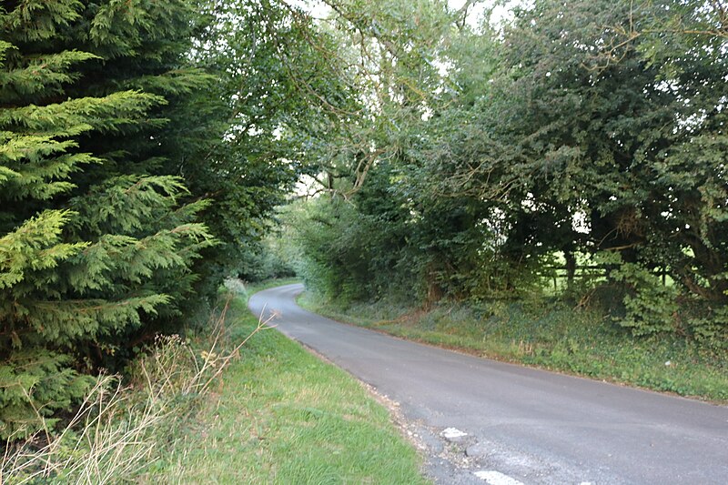 File:Lane near Snowshill - geograph.org.uk - 6268373.jpg