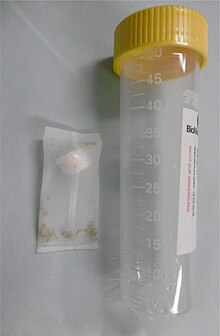 Maggots in medical packaging Larven der Lucillia sericata im BioBag.jpg