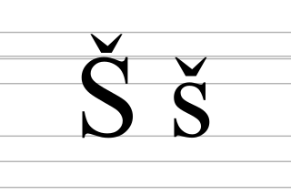 <span class="mw-page-title-main">Š</span> Latin letter S with caron