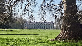 Château de Marmousse et un arbre centenaire