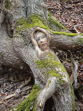 Face carved in woodLemberg/Nahe , Germany