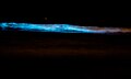 Lingulodinium polyedrum bioluminescing in surf.jpg