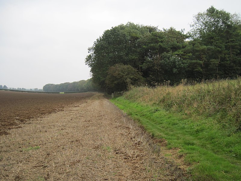 File:Low Wood from the west - geograph.org.uk - 2195177.jpg